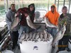 (04/22/2015) - Nice Striped Bass